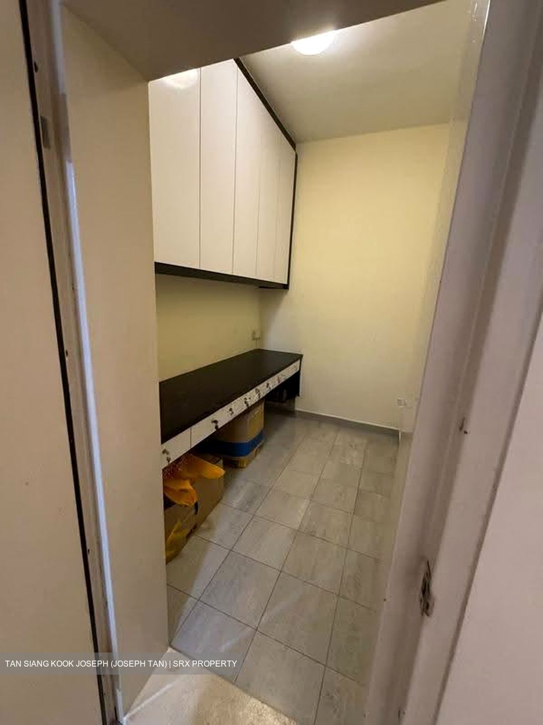 Cairnhill Crest (D9), Condominium #626638231